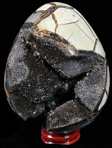 Septarian Dragon Egg Geode - Black Crystals #57393